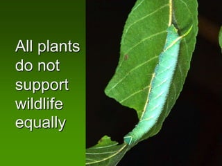All plants
do not
support
wildlife
equally
 
