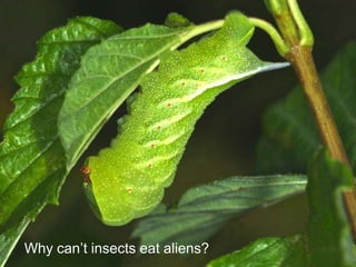 Why can’t insects eat
                      aliens?




Why can’t insects eat aliens?
 