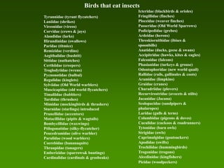 Birds that eat insects
                                           Icteridae (blackbirds & orioles)
Tyrannidae (tyrant flycatchers)            Fringillidae (finches)
Laniidae (shrikes)                         Ploceidae (weaver finches)
Vireonidae (vireos)                        Passeridae (Old World Sparrows)
Corvidae (crows & jays)                    Podicipedidae (grebes)
Alaudidae (larks)                          Ardeidae (herons)
Hirundinidae (swallows)                    Threskiornithidae (ibises &
Paridae (titmice)                          spoonbills)
Remizidae (verdins)                        Anatidae (ducks, geese & swans)
Aegithalidae (bushtit)                     Accipitridae (hawks, kites & eagles)
Sittidae (nuthatches)                      Falconidae (falcons)
Certhiidae (creepers)                      Phasianidae (turkeys & grouse)
Troglodytidae (wrens)                      Odontophoridae (new world quail)
Pycnonotidae (bulbul)                      Rallidae (rails, gallinules & coots)
Regulidae (kinglets)                       Aramidae (limpkins)
Sylviidae (Old World warblers)             Gruidae (cranes)
Muscicapidae (old world flycatchers)       Charadriidae (plovers)
Timaliidae (babblers)                      Recurvirostridae (avocets & stilts)
Turdidae (thrushes)                        Jacanidae (Jacana)
Mimidae (mockingbirds & thrashers)         Scolopacidae (sandpipers &
Sturnidae (starlings) introduced           phalaropes)
Prunellidae (accentors)                    Laridae (gulls & terns)
Motacillidae (pipits & wagtails)           Columbidae (pigeons & doves)
Bombycillidae (waxwings)                   Cuculidae (cuckoos & roadrunners)
Ptilogonatidae (silky-flycatcher)          Tytonidae (barn owls)
Peucedramidae (olive warbler)              Strigidae (owls)
Parulidae (wood warblers)                  Caprimulgidae (goatsuckers)
Coerebidae (bananaquits)                   Apodidae (swifts)
Thraupidae (tanagers)                      Trochilidae (hummingbirds)
Emberizidae (sparrows& buntings)           Trogonidae (trogons)
Cardinalidae (cardinals & grosbeaks)       Alcedinidae (kingfishers)
                                           Picidae (woodpeckers)
 