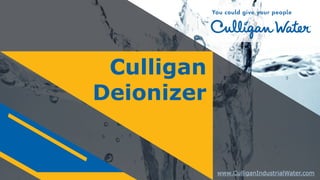 www.CulliganIndustrialWater.com
Culligan
Deionizer
 
