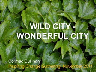 WILD CITY -
    WONDERFUL CITY

Cormac Cullinan
Inspiring Change Gathering, November 2011
 