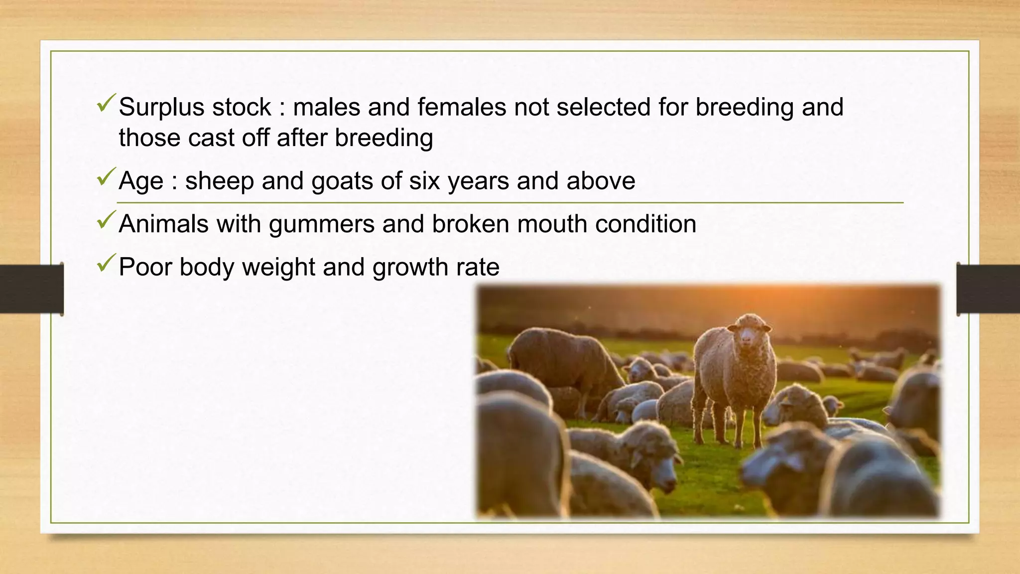 Surplus stock : males and females not selected for breeding and
those cast off after breeding
Age : sheep and goats of six years and above
Animals with gummers and broken mouth condition
Poor body weight and growth rate
 