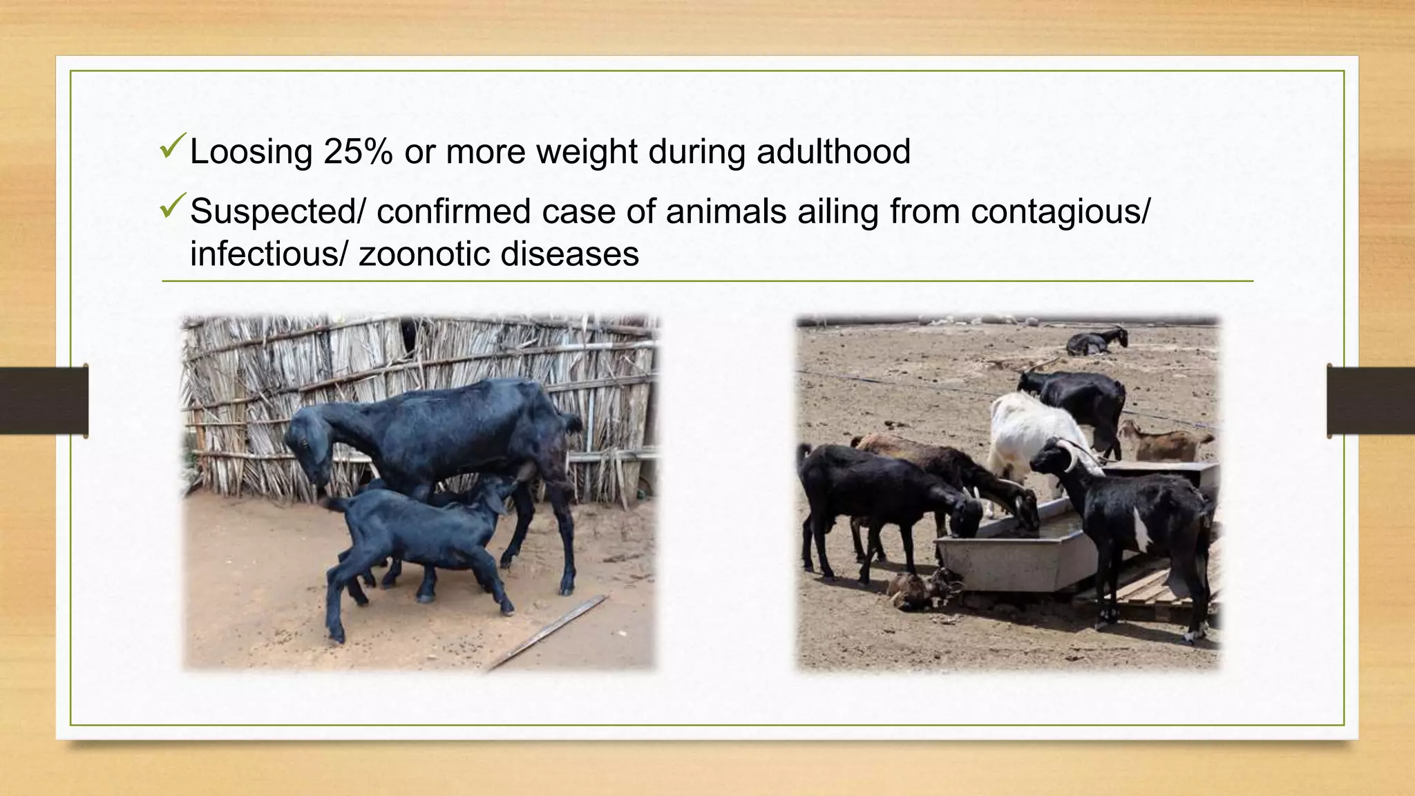 Loosing 25% or more weight during adulthood
Suspected/ confirmed case of animals ailing from contagious/
infectious/ zoonotic diseases
 