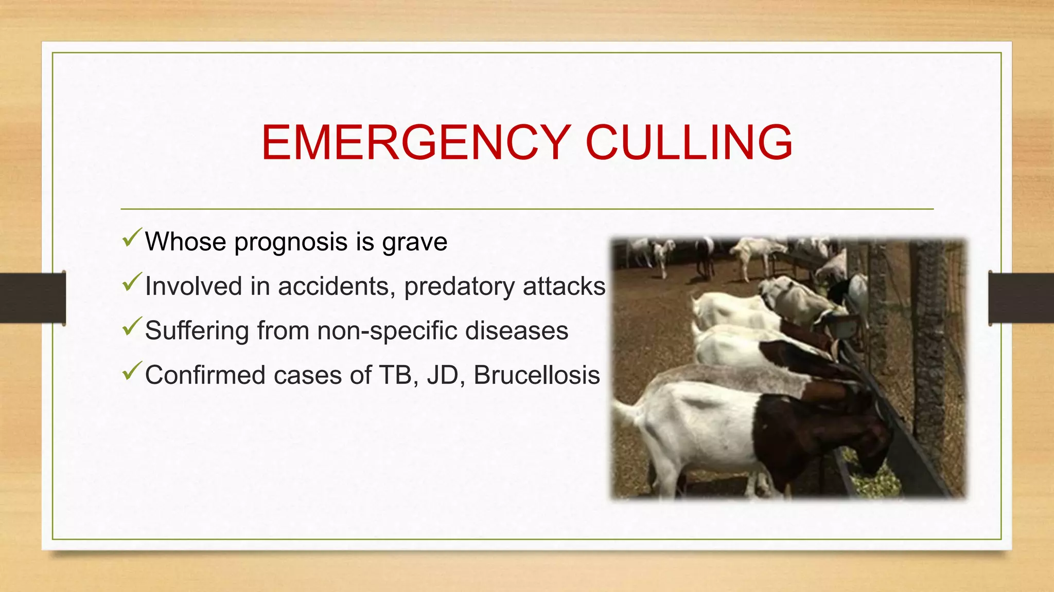 EMERGENCY CULLING
Whose prognosis is grave
Involved in accidents, predatory attacks
Suffering from non-specific diseases
Confirmed cases of TB, JD, Brucellosis
 
