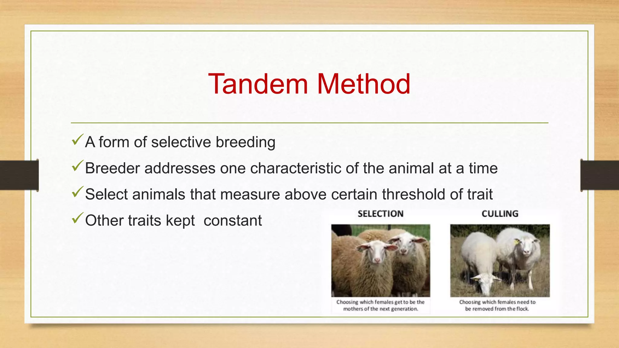 Tandem Method
A form of selective breeding
Breeder addresses one characteristic of the animal at a time
Select animals that measure above certain threshold of trait
Other traits kept constant
 