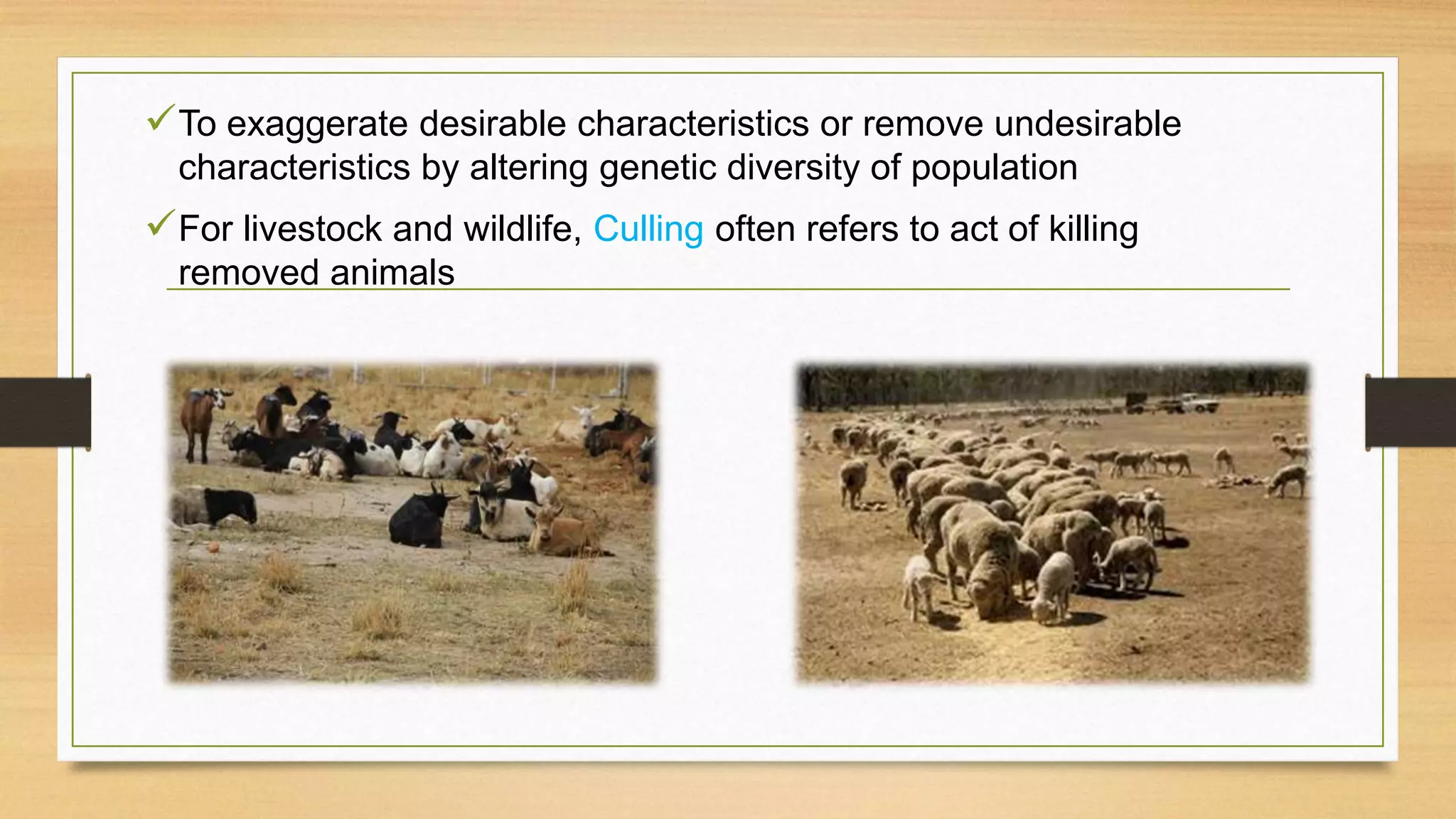 To exaggerate desirable characteristics or remove undesirable
characteristics by altering genetic diversity of population
For livestock and wildlife, Culling often refers to act of killing
removed animals
 