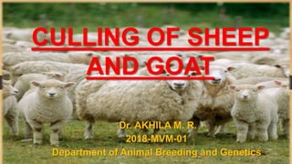 CULLING OF SHEEP
AND GOAT
Dr. AKHILA M. R.
2018-MVM-01
Department of Animal Breeding and Genetics
 