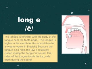 long e
/ē/
The tongue is forward, with the body of the
tongue near the tooth ridge. (The tongue is
higher in the mouth for this sound than for
any other vowel in English.) Because the
tongue is so high, the jaw is relatively
closed during the 'long e' /i/ sound. The
sides of the tongue touch the top, side
teeth during the sound.
 