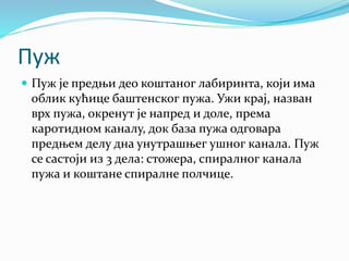 Пуж
 Пуж је предњи део коштаног лабиринта, који има
облик кућице баштенског пужа. Ужи крај, назван
врх пужа, окренут је напред и доле, према
каротидном каналу, док база пужа одговара
предњем делу дна унутрашњег ушног канала. Пуж
се састоји из 3 дела: стожера, спиралног канала
пужа и коштане спиралне полчице.
 