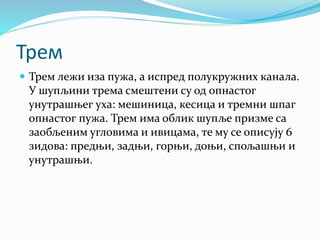 Трем
 Трем лежи иза пужа, а испред полукружних канала.
У шупљини трема смештени су од опнастог
унутрашњег уха: мешиница, кесица и тремни шпаг
опнастог пужа. Трем има облик шупље призме са
заобљеним угловима и ивицама, те му се описују 6
зидова: предњи, задњи, горњи, доњи, спољашњи и
унутрашњи.
 