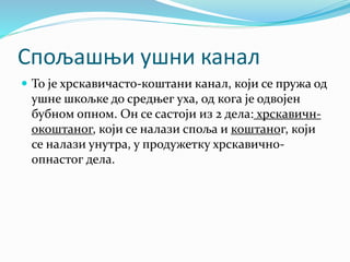 Спољашњи ушни канал
 То је хрскавичасто-коштани канал, који се пружа од
ушне шкољке до средњег уха, од кога је одвојен
бубном опном. Он се састоји из 2 дела: хрскавичн-
окоштаног, који се налази споља и коштаног, који
се налази унутра, у продужетку хрскавично-
опнастог дела.
 
