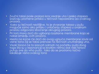 Zvu č ni talasi posle prolaza kroz srednje uho  i  preko stapesa izazivaju promene pritiska u te č nosti neposredno iza ovalnog prozora. Kako su te č nosti nesti š ljive, to je stvaranje talasa u pu ž u mogu ć e samo ako pritisku  i  uvla č enju stapesa u ovalnom prozoru odgovara izbo č enje okruglog prozora.  Pri tom mora do ć i do ugibanja bazilarne membrane koja se nalazi izmedju ovih prozora.  Mesto na kome  ć e do ć i do ovog ugnu ć a membrane zavisi od visine tona  č iji se talasi prenose na te č nosti unutra š njeg uha. Visoki tonovi  ć e to izazvati odmah na po č etku pu ž a zbog toga  š to su u rezonanciji sa kratkim nitima dok niski tonovi putuju sve do vrha pu ž a , tako da se prostorno ta č no lokalizuje visina svakog tona 