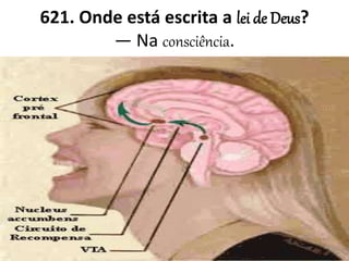 621. Onde está escrita a lei de Deus?
— Na consciência.
 