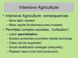 Intensive Agriculture
• Intensive Agriculture: consequences
– More labor needed
– More capital (funds/resources) invested
• Permitted complex societies, “civilization”:
– Labor specialization
– Surplus production promotes market exchange
– Cities can be supported
– Social stratification emerges (inequality)
– Peasant class (rural food producers)
 