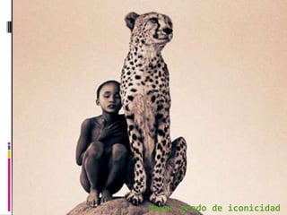 Mayor grado de iconicidad