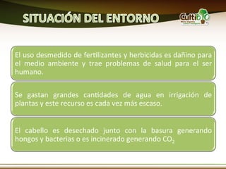 El	
  uso	
  desmedido	
  de	
  ferMlizantes	
  y	
  herbicidas	
  es	
  dañino	
  para	
  
el	
   medio	
   ambiente	
   y	
   trae	
   problemas	
   de	
   salud	
   para	
   el	
   ser	
  
humano.	
  

Se	
   gastan	
   grandes	
   canMdades	
   de	
   agua	
   en	
   irrigación	
   de	
  
plantas	
  y	
  este	
  recurso	
  es	
  cada	
  vez	
  más	
  escaso.	
  


El	
   cabello	
   es	
   desechado	
   junto	
   con	
   la	
   basura	
   generando	
  
hongos	
  y	
  bacterias	
  o	
  es	
  incinerado	
  generando	
  CO2	
  
 