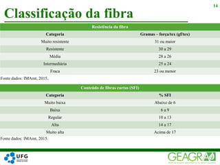 Classificação da fibra
14
Resistência da fibra
Categoria Gramas – força/tex (gf/tex)
Muito resistente 31 ou maior
Resistente 30 a 29
Média 28 a 26
Intermediária 25 a 24
Fraca 23 ou menor
Conteúdo de fibras curtas (SFI)
Categoria % SFI
Muito baixa Abaixo de 6
Baixa 6 a 9
Regular 10 a 13
Alta 14 a 17
Muito alta Acima de 17
Fonte dados: IMAmt, 2015.
Fonte dados: IMAmt, 2015.
 