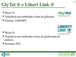 Bayer ®;
Tolerância aos herbicidas a base de glifosato;
Enzima: 2mEPSPS.
Bayer ®;
Tolerância aos herbicidas a base de glufosinato de
amônio;
Proteína: PAT.
GlyTol ® e Libert Link ®
18
Fonte: Bayer, 2018.
Fonte: Bayer, 2018.
 