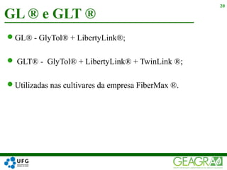 GL® - GlyTol® + LibertyLink®;
 GLT® - GlyTol® + LibertyLink® + TwinLink ®;
Utilizadas nas cultivares da empresa FiberMax ®.
GL ® e GLT ®
20
 