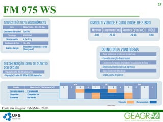 FM 975 WS
25
Fonte das imagens: FiberMax, 2019.
 