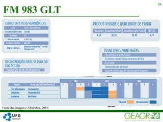 FM 983 GLT
26
Fonte das imagens: FiberMax, 2019.
 