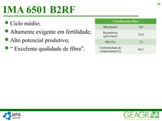 Ciclo médio;
Altamente exigente em fertilidade;
Alto potencial produtivo;
“ Excelente qualidade de fibra”.
IMA 6501 B2RF
35
Classificação Fibra
Micronaire 4,0
Resistência
(gFor/text)
32,6
SFI (%) 7,5
Uniformidade de
comprimento(%)
84,1
 