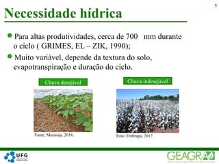 Para altas produtividades, cerca de 700 mm durante
o ciclo ( GRIMES, EL – ZIK, 1990);
Muito variável, depende da textura do solo,
evapotranspiração e duração do ciclo.
Necessidade hídrica
5
Fonte: Maissoja, 2018. Foto: Embrapa, 2017.
Chuva desejável Chuva indesejável
 