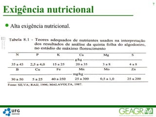 Alta exigência nutricional.
Exigência nutricional
7
 