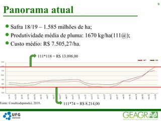 Safra 18/19 – 1.585 milhões de ha;
Produtividade média de pluma: 1670 kg/ha(111@);
Custo médio: R$ 7.505,27/ha.
Panorama atual
9
Fonte: Conab(adapatado), 2019.
111*118 = R$ 13.098,00
111*74 = R$ 8.214,00
 