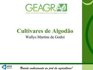 Unindo conhecimento em prol da agricultura!
Cultivares de Algodão
Wallys Martins de Godoi
 
