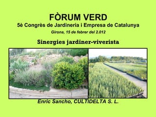 FÒRUM VERD 5è Congrès de Jardineria i Empresa de Catalunya Girona, 15 de febrer del 2.012 Sinergies jardiner-viverista ,[object Object]