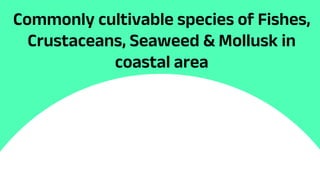 Commonly cultivable species of Fishes,
Crustaceans, Seaweed & Mollusk in
coastal area
 