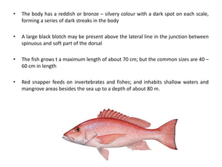Cultivable species of fin fishes | PPT