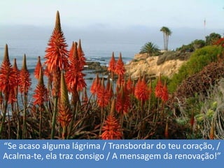 “Se acasoalgumalágrima / Transbordar do teucoração, / Acalma-te, elatrazconsigo / A mensagemdarenovação!”