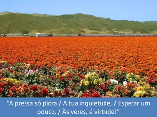 “A pressasópiora / A tua inquietude, / Esperar um pouco, / Às vezes, é virtude!”