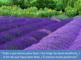 “Tudo o quetemosparafazer / Aolongodaatualexistência, / A fim de quefiquebemfeito, / É precisomuitapaciência!”