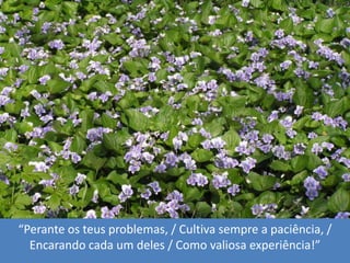 “Peranteosteusproblemas, / Cultivasempre a paciência, / Encarandocada um deles / Como valiosaexperiência!”