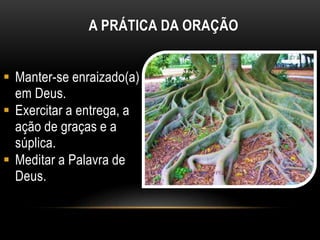 A PRÁTICA DA ORAÇÃO
 Manter-se enraizado(a)
em Deus.
 Exercitar a entrega, a
ação de graças e a
súplica.
 Meditar a Palavra de
Deus.
 