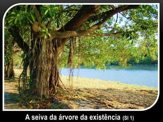 A seiva da árvore da existência (Sl 1)
 