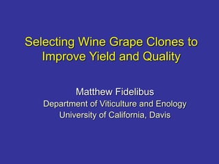 Selecting Wine Grape Clones to 
Improve Yield and Quality 
Matthew Fidelibus 
Department of Viticulture and Enology 
University of California, Davis 
 