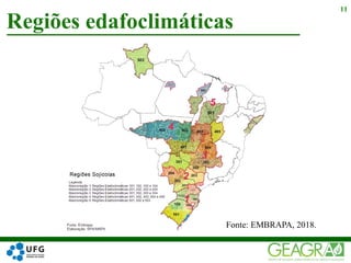 Regiões edafoclimáticas
11
Fonte: EMBRAPA, 2018.
 