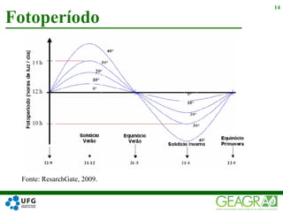 Fotoperíodo
14
Fonte: ResarchGate, 2009.
 