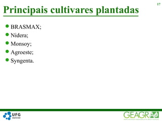 BRASMAX;
Nidera;
Monsoy;
Agroeste;
Syngenta.
Principais cultivares plantadas
17
 