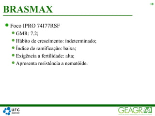 Foco IPRO 74I77RSF
GMR: 7.2;
Hábito de crescimento: indeterminado;
Índice de ramificação: baixa;
Exigência a fertilidade: alta;
Apresenta resistência a nematóide.
BRASMAX
18
 