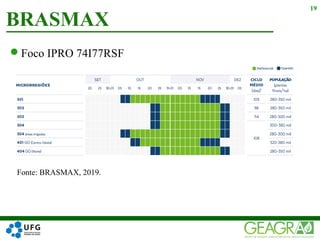 Foco IPRO 74I77RSF
BRASMAX
19
Fonte: BRASMAX, 2019.
 