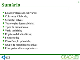 Lei de proteção de cultivares;
Cultivares X híbrido;
Sementes salvas;
Tecnologias desenvolvidas;
Tipos de crescimento;
Vazio sanitário;
Regiões edafoclimáticas;
Fotoperíodo;
Classificação pelo ciclo;
Grupo de maturidade relativa;
Principais cultivares plantadas.
Sumário
2
 