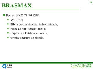 Power IPRO 73I70 RSF
GMR: 7.3;
Hábito de crescimento: indeterminado;
Índice de ramificação: média;
Exigência a fertilidade: média;
Permite abertura de plantio.
BRASMAX
20
 