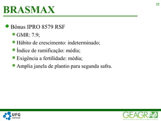 Bônus IPRO 8579 RSF
GMR: 7.9;
Hábito de crescimento: indeterminado;
Índice de ramificação: média;
Exigência a fertilidade: média;
Amplia janela de plantio para segunda safra.
BRASMAX
22
 
