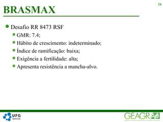 Desafio RR 8473 RSF
GMR: 7.4;
Hábito de crescimento: indeterminado;
Índice de ramificação: baixa;
Exigência a fertilidade: alta;
Apresenta resistência a mancha-alvo.
BRASMAX
24
 