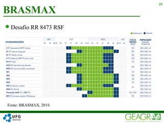Desafio RR 8473 RSF
BRASMAX
25
Fonte: BRASMAX, 2019.
 